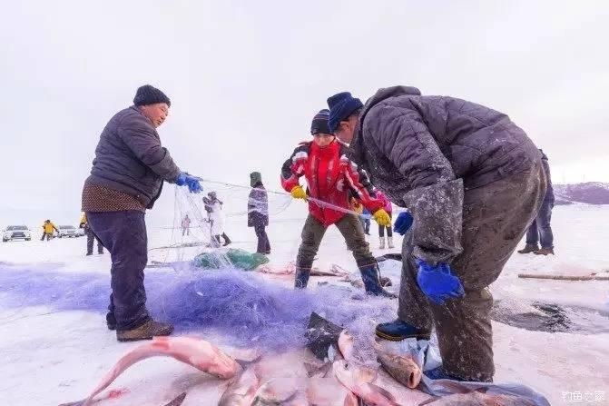 越野跑选手因光膀子取消成绩，规则意识与体育精神的反思——澳门赛事争议事件回顾